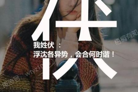 伏姓男孩名字大全-伏姓男孩起名字大全-伏姓名字大全姓名
