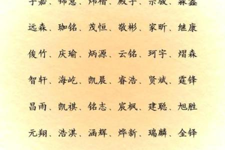 诸姓男孩名字大全-诸姓男孩起名字大全-诸姓名字大全姓名