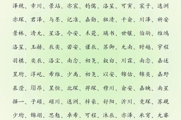 2019年3月17号子时出生的男孩要怎么起名字姓名