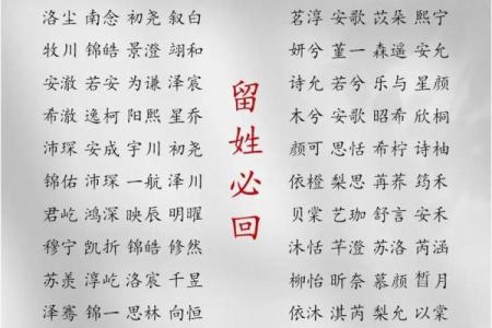2019年4月26号子时出生的男孩如何起名姓名
