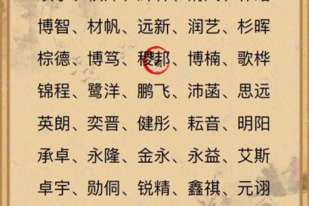 4月份出生的属兔男孩怎样取名字好姓名