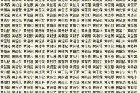 2019年5月12号寅时出生的男孩起名方法姓名