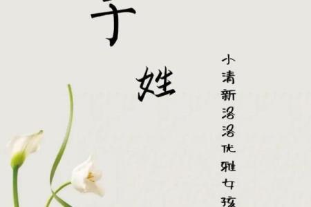 姓于的名人-姓名学-华易算命网姓名