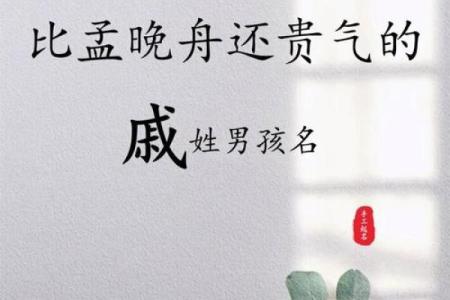 戚姓女孩名字大全-戚姓女孩起名字大全-戚姓名字大全姓名