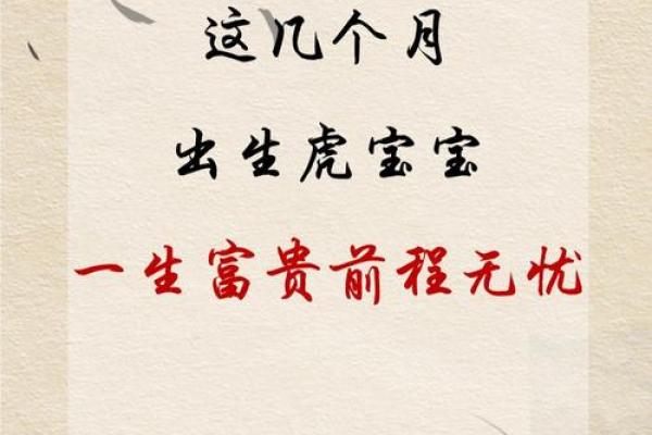 12月份出生的属虎男孩如何取名字姓名