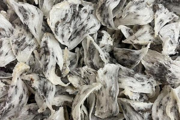 高端大气的燕窝品牌起名方法-姓名学-华易网姓名