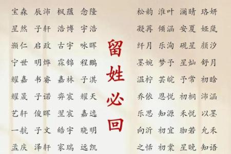 2019年6月17号丑时出生的男孩应该起什么样的名字姓名