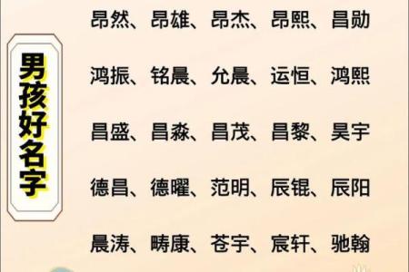 2019年6月13号子时出生的男孩起名方法姓名