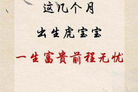 12月份出生的属虎男孩如何取名字姓名