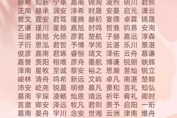 2019年6月25号寅时出生的男孩如何起名姓名