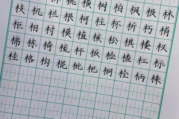 木字旁的字大全-姓名学姓名