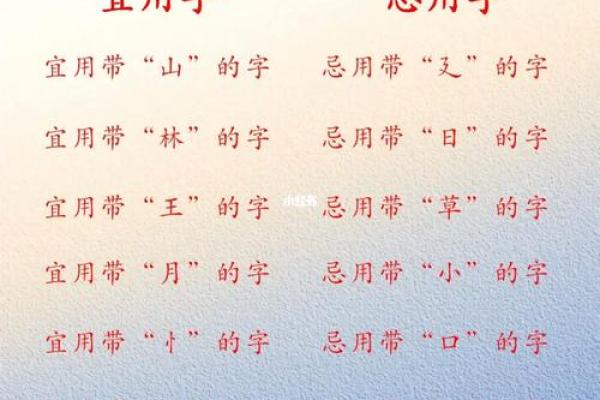 晚上11点出生的属虎男孩如何起名，应用什么字姓名