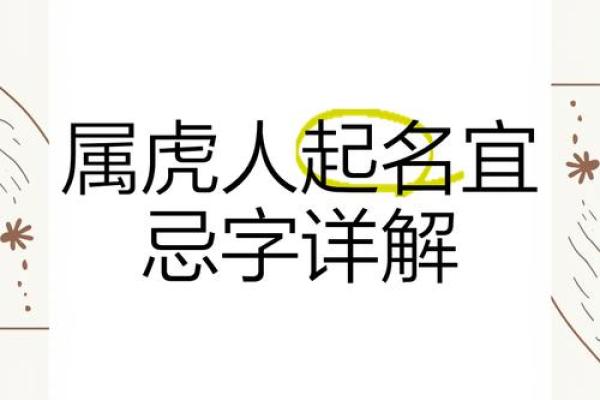 晚上11点出生的属虎男孩如何起名，应用什么字姓名