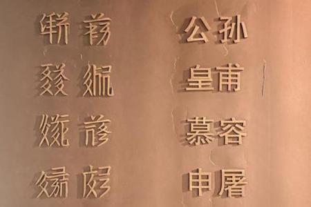 姓夏侯的名人-姓名学-华易算命网姓名