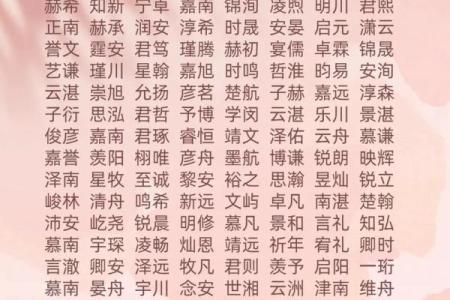 2019年6月25号寅时出生的男孩如何起名姓名