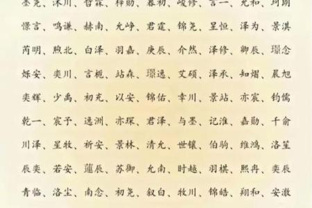 要怎么给晚上10点出生的属猴男孩取名字合适姓名