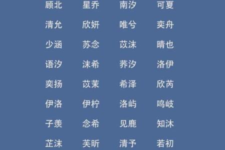 2019年3月20号子时出生的男孩要怎么起名字姓名