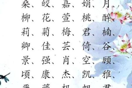 木字旁的字大全-姓名学姓名